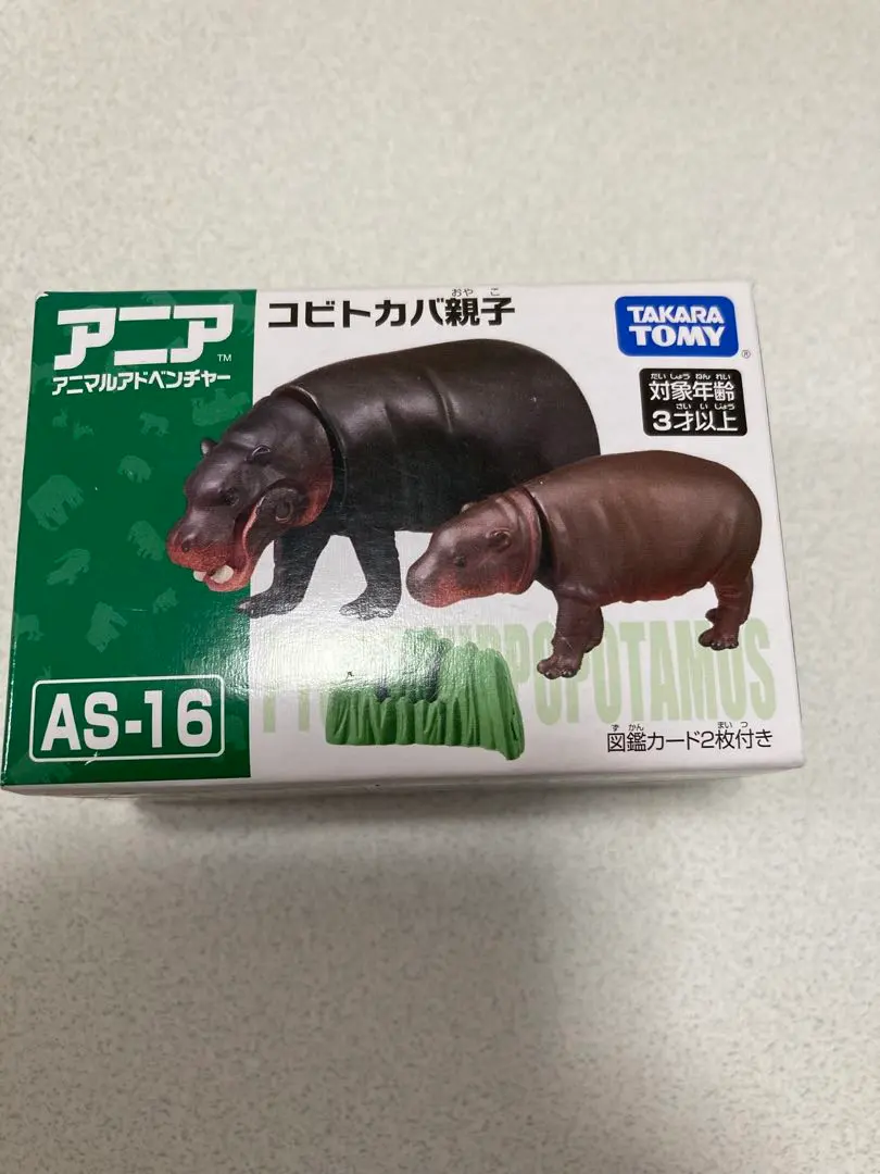 2026年最新】コビトカバ アニアの人気アイテム - メルカリ