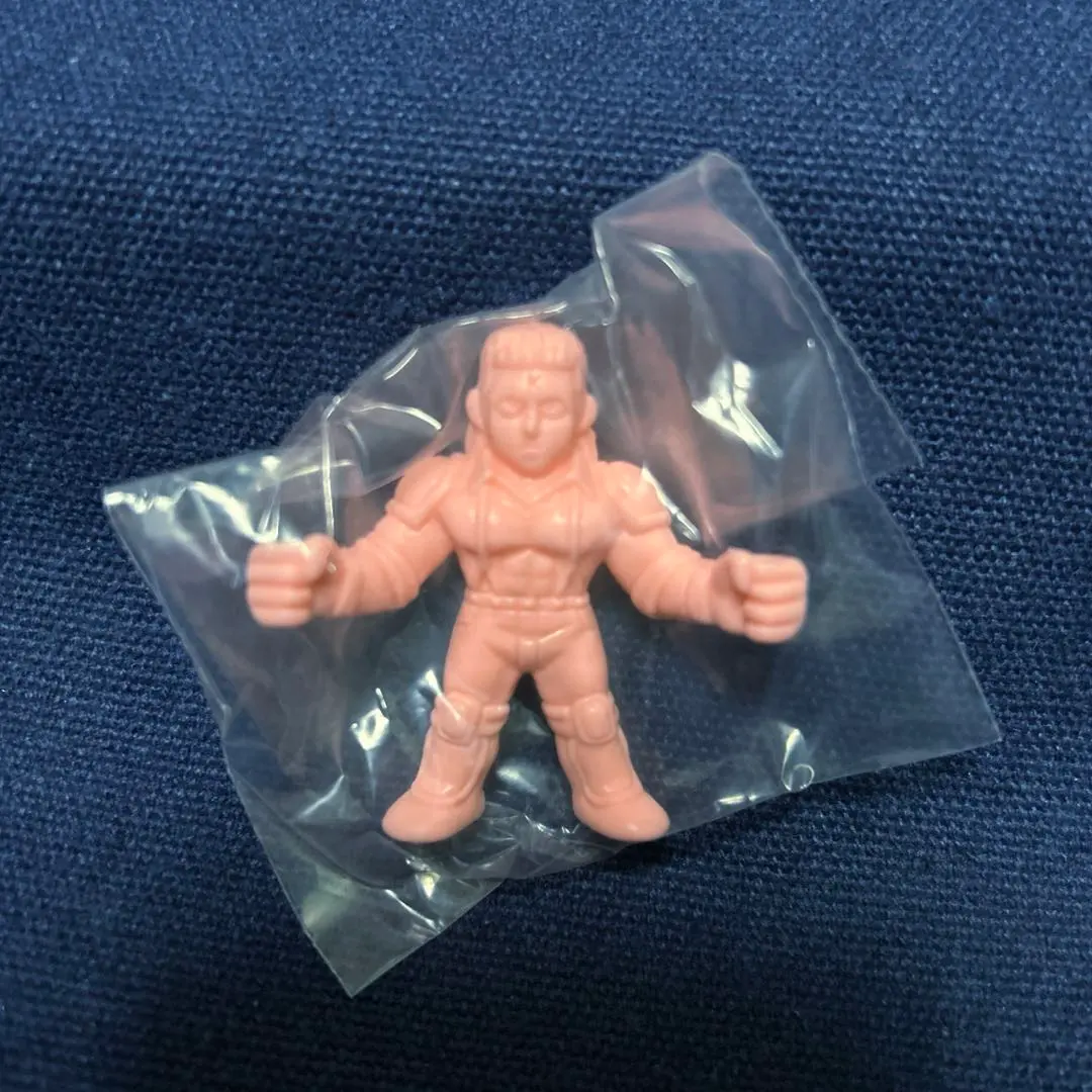 2026年最新】テリー·ザ·キッドの人気アイテム - メルカリ