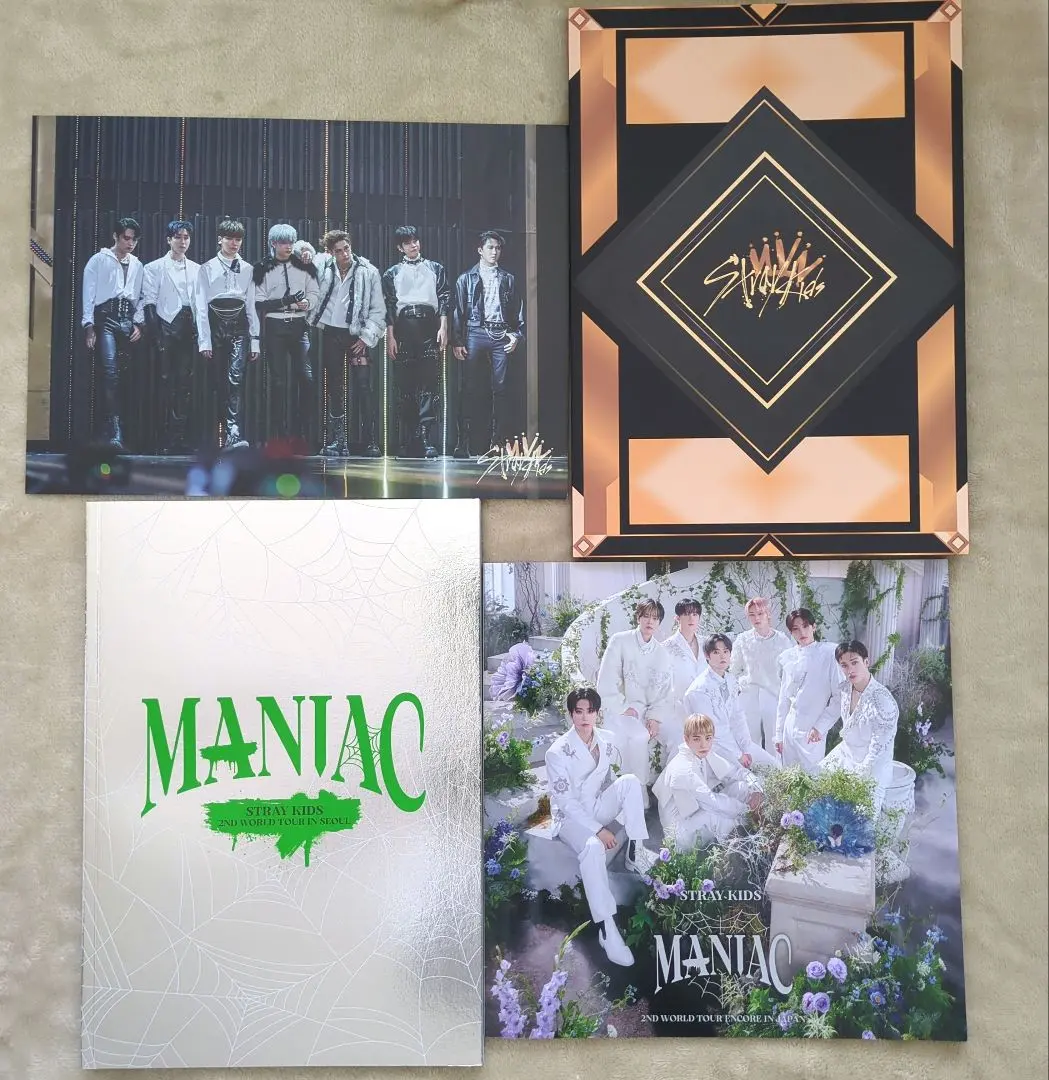 2026年最新】kingdom straykidsの人気アイテム - メルカリ