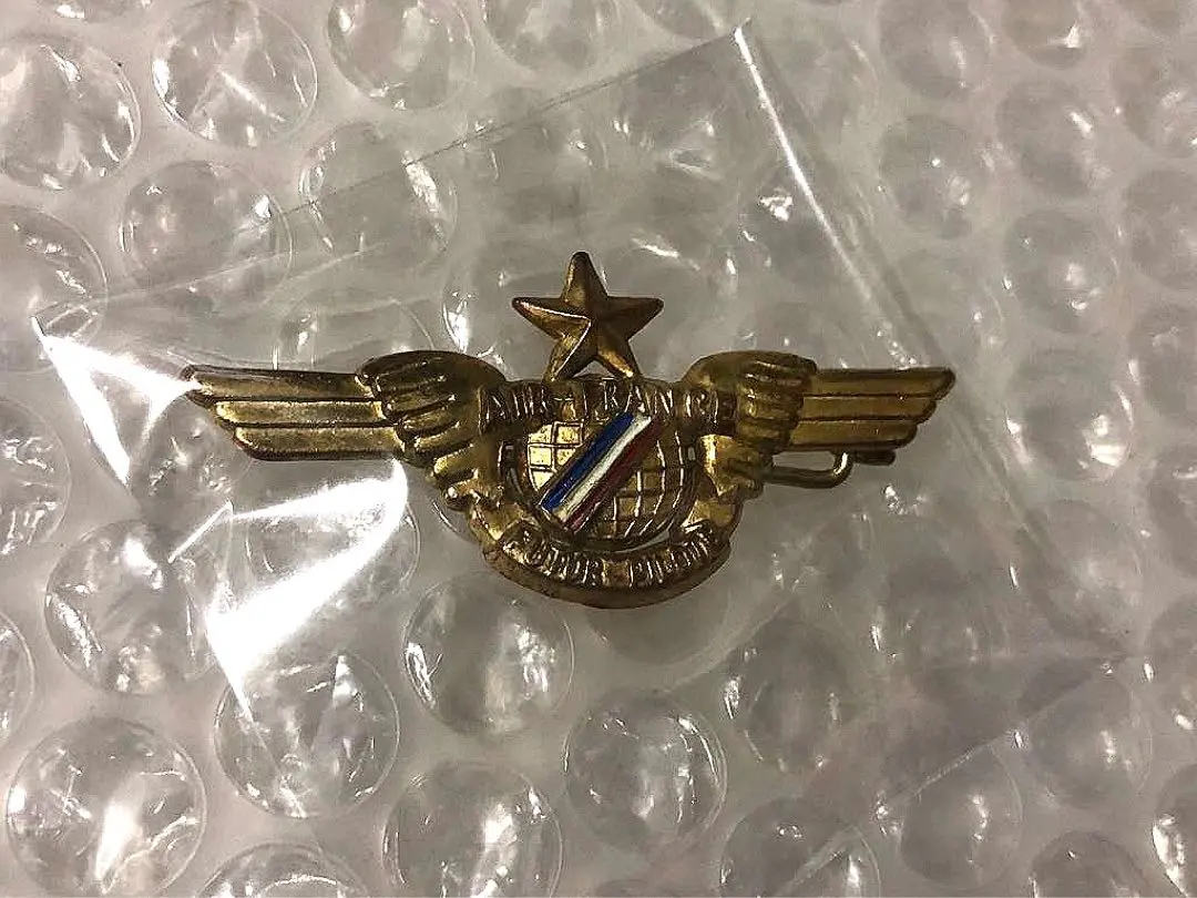 2026年最新】パイロットのウィングバッジの人気アイテム - メルカリ