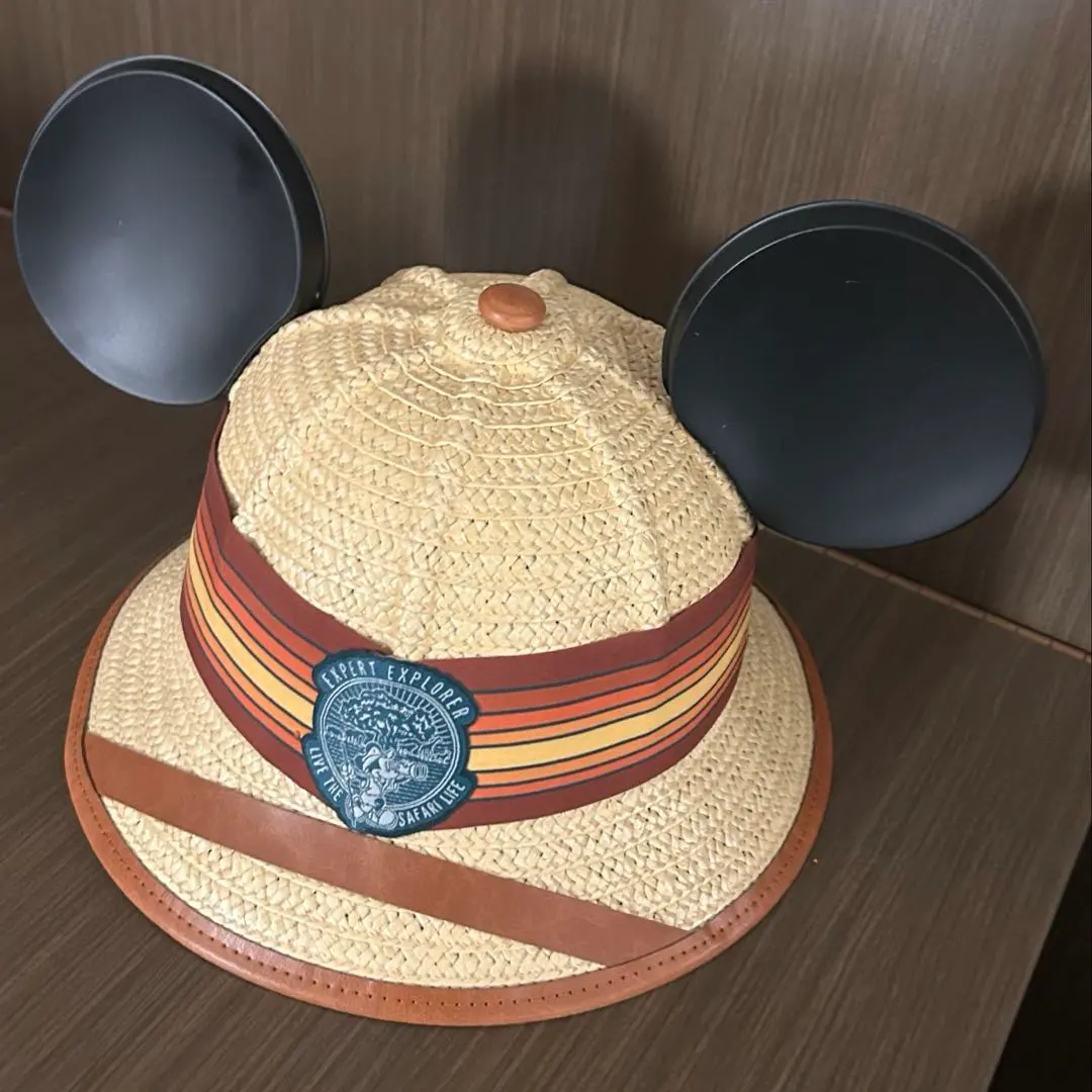 2026年最新】ジャングルクルーズ ハットの人気アイテム - メルカリ