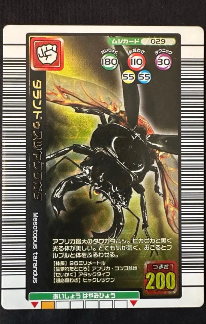 2026年最新】タランドゥスツヤクワガタ 5周年の人気アイテム - メルカリ