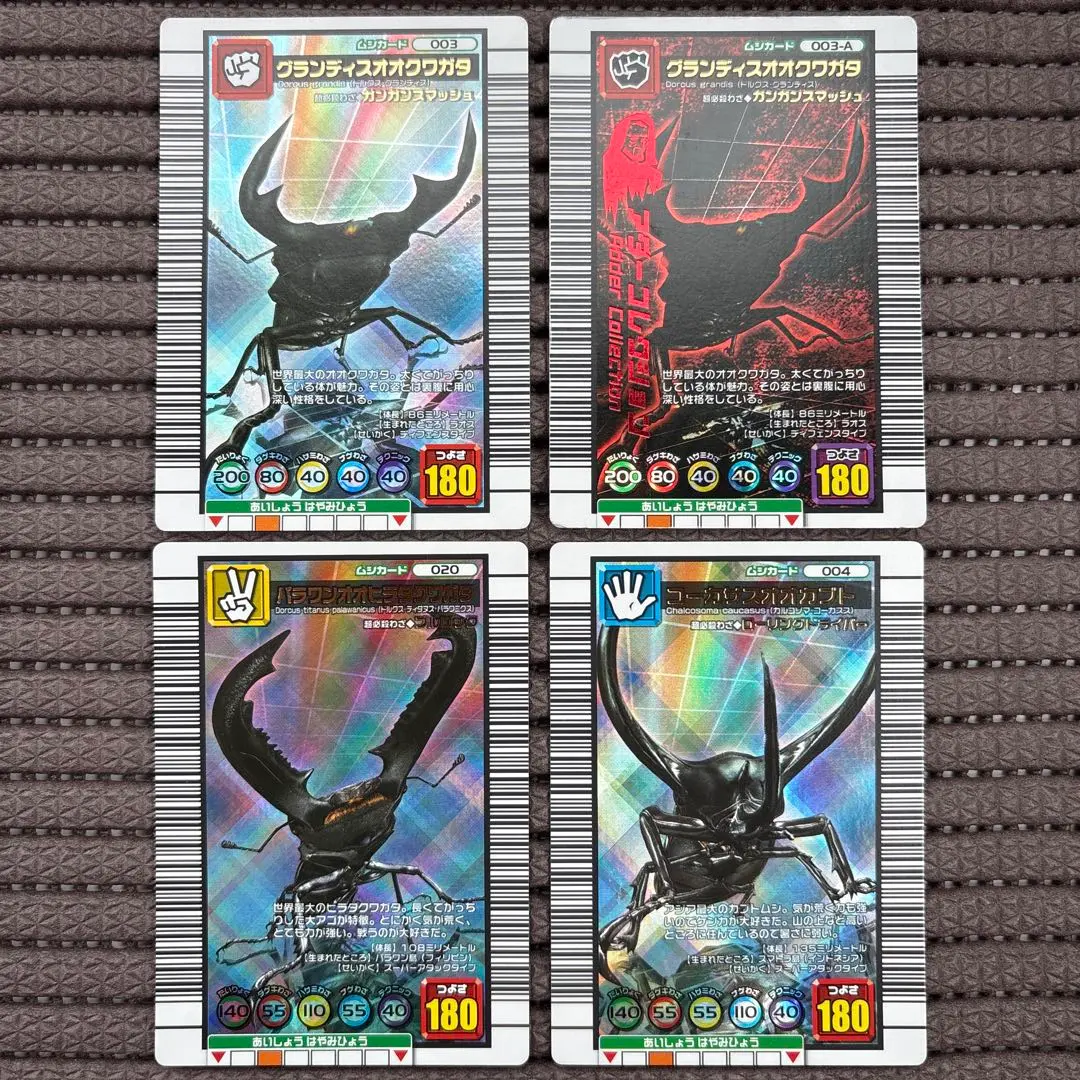 2026年最新】パラワンオオヒラタクワガタ アダーの人気アイテム - メルカリ