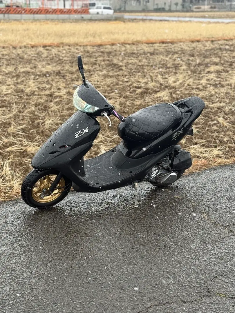 2026年最新】限定 ライブディオzxの人気アイテム - メルカリ