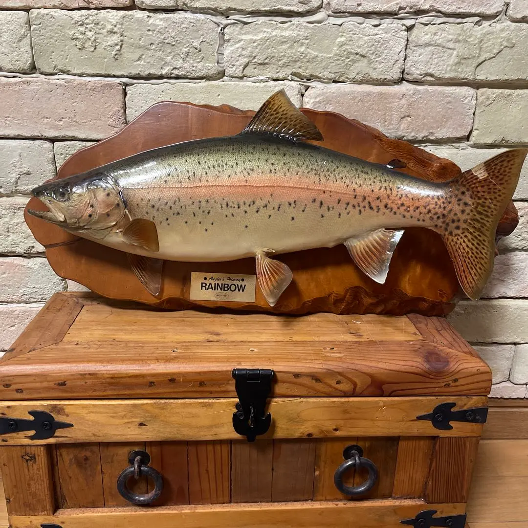 2026年最新】剥製 イトウの人気アイテム - メルカリ