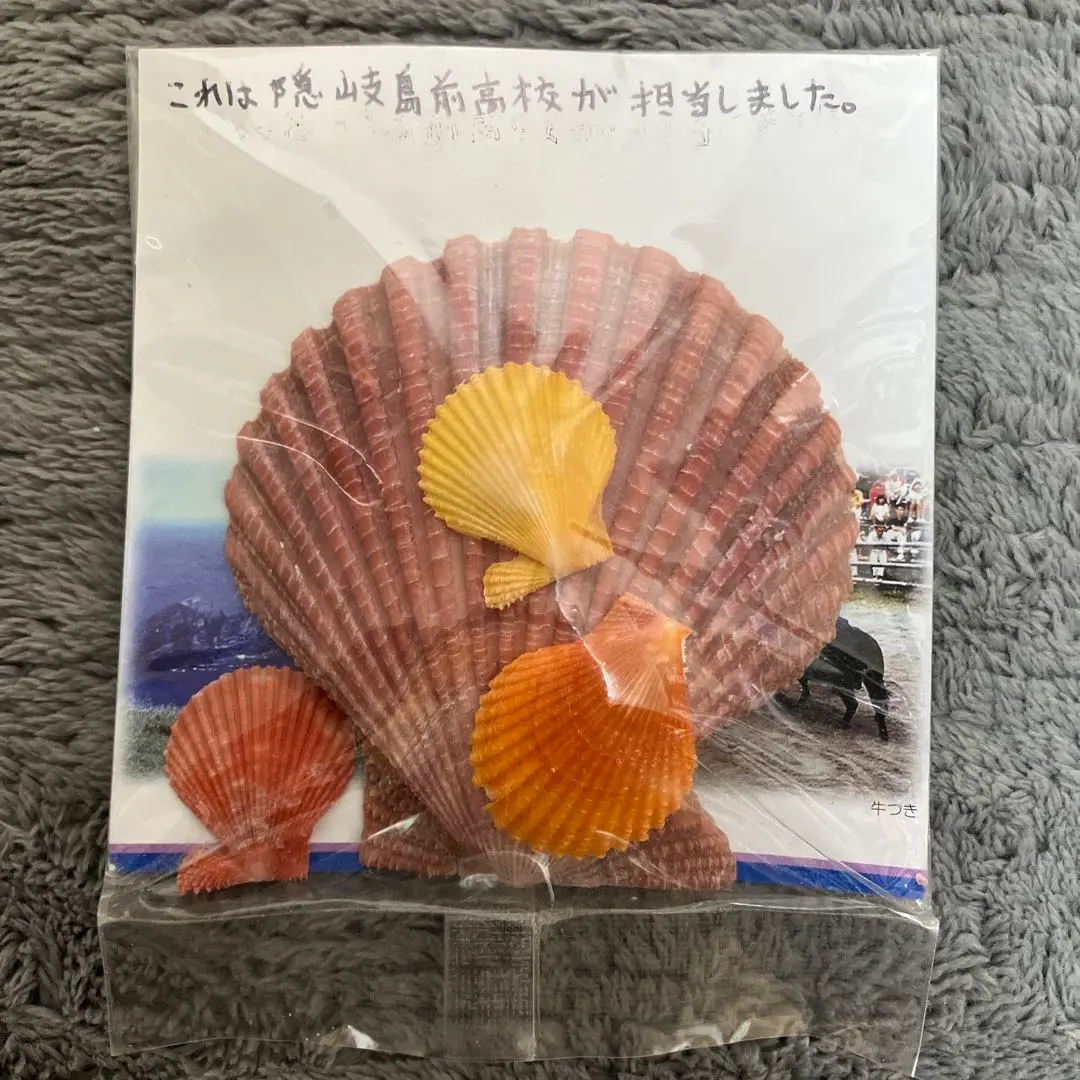 2026年最新】ヒオウギ貝の人気アイテム - メルカリ