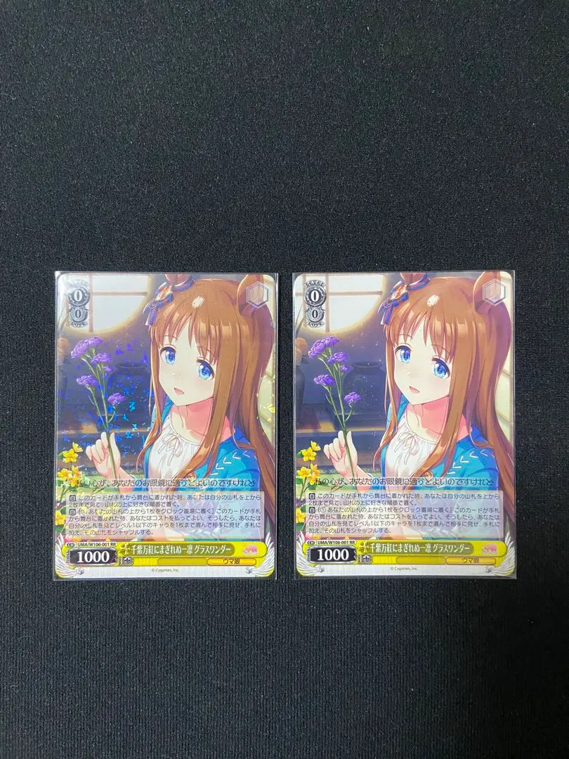 2026年最新】グラスワンダー ヴァイスシュヴァルツの人気アイテム