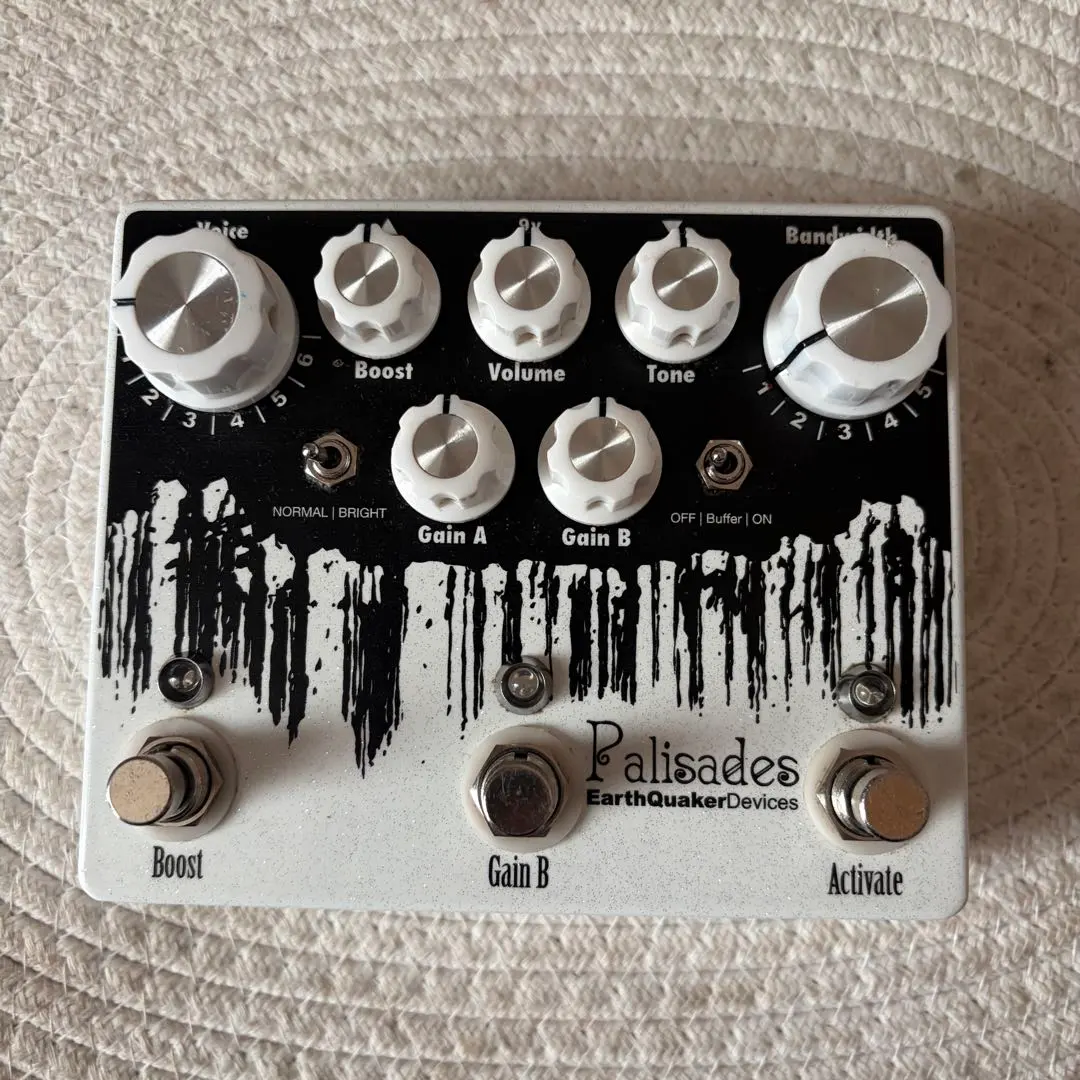2026年最新】EarthQuaker Devices Palisadesの人気アイテム - メルカリ