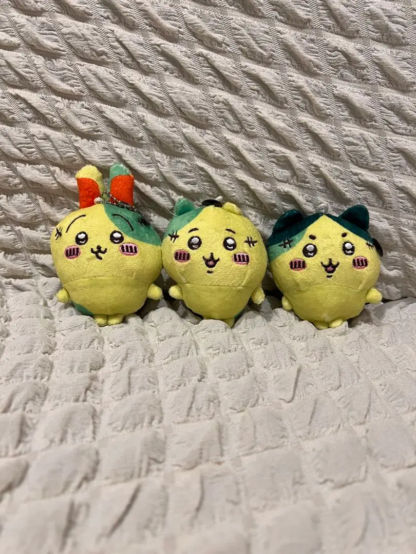 m16836257178_1.jpg?1760146509