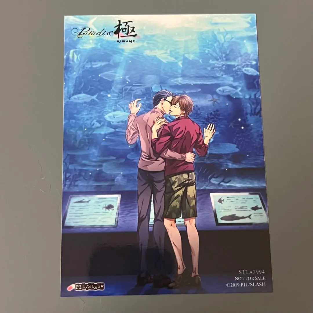 2026年最新】paradi アヅマの人気アイテム - メルカリ