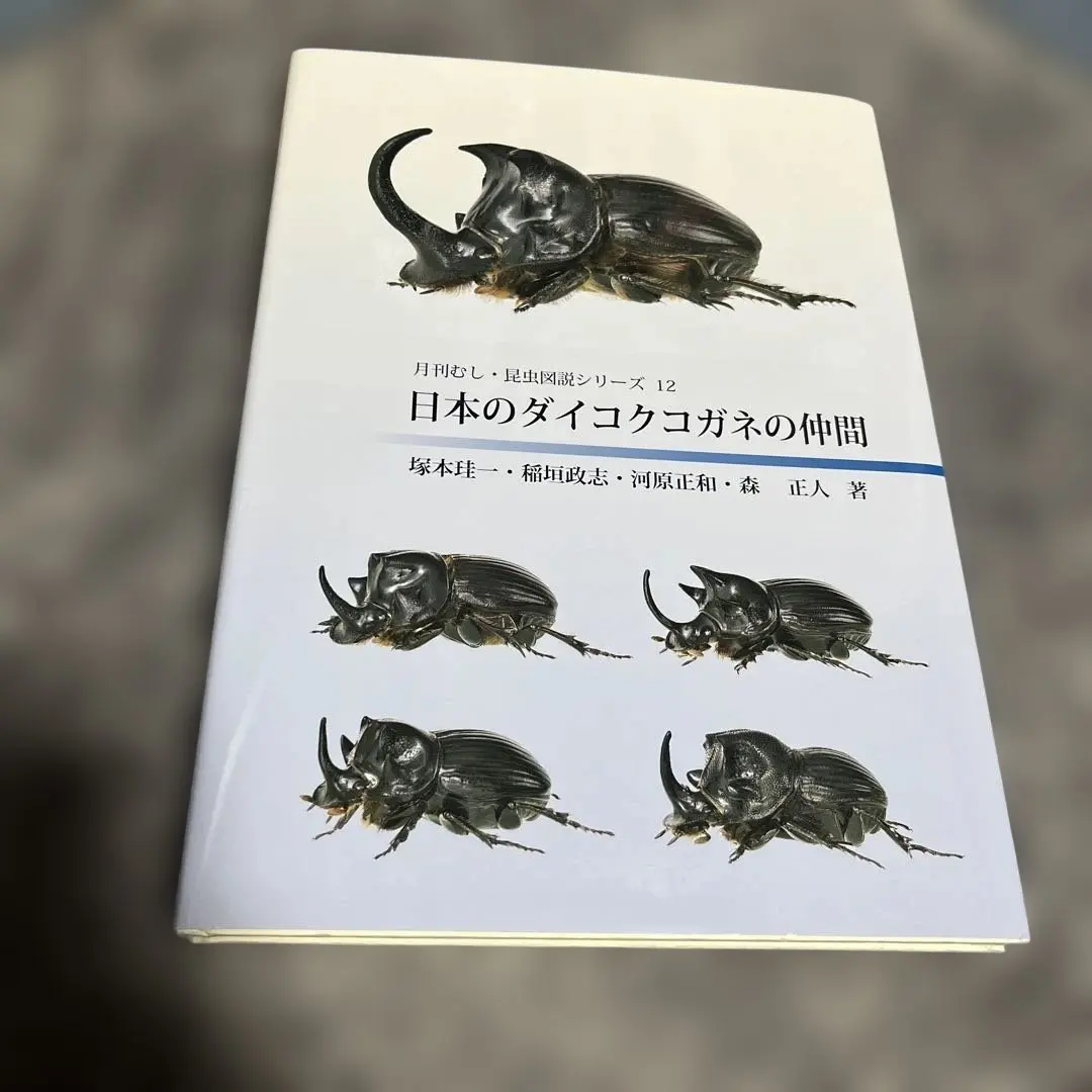 2026年最新】ダイコクコガネ 標本の人気アイテム - メルカリ