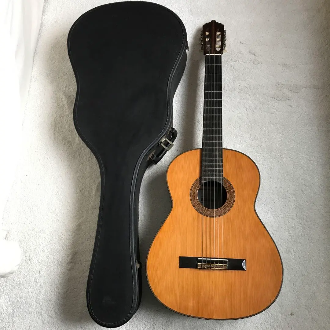 2026年最新】shinano シナノ ギターの人気アイテム - メルカリ