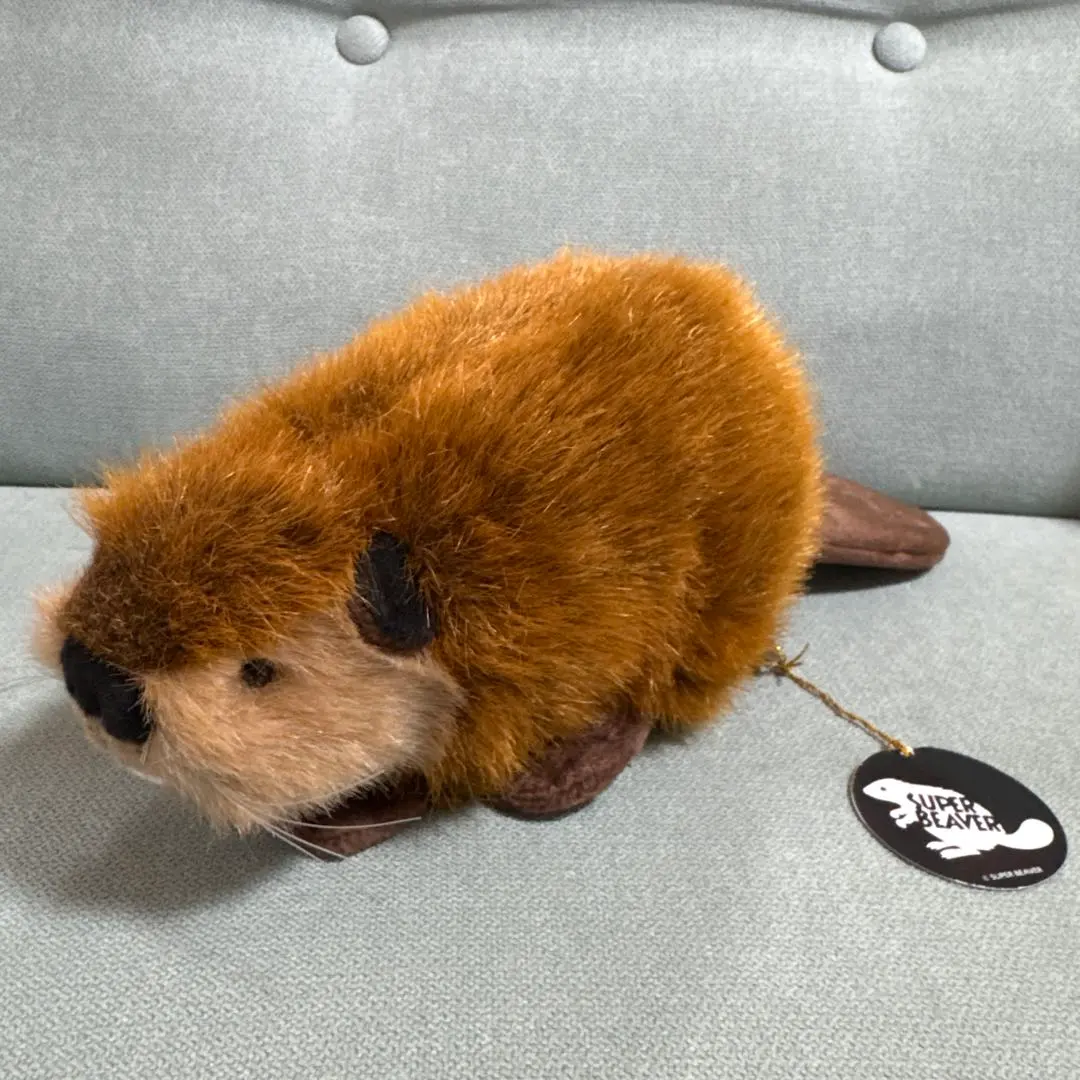 2026年最新】スーパービーバーちゃん ぬいぐるみの人気アイテム - メルカリ