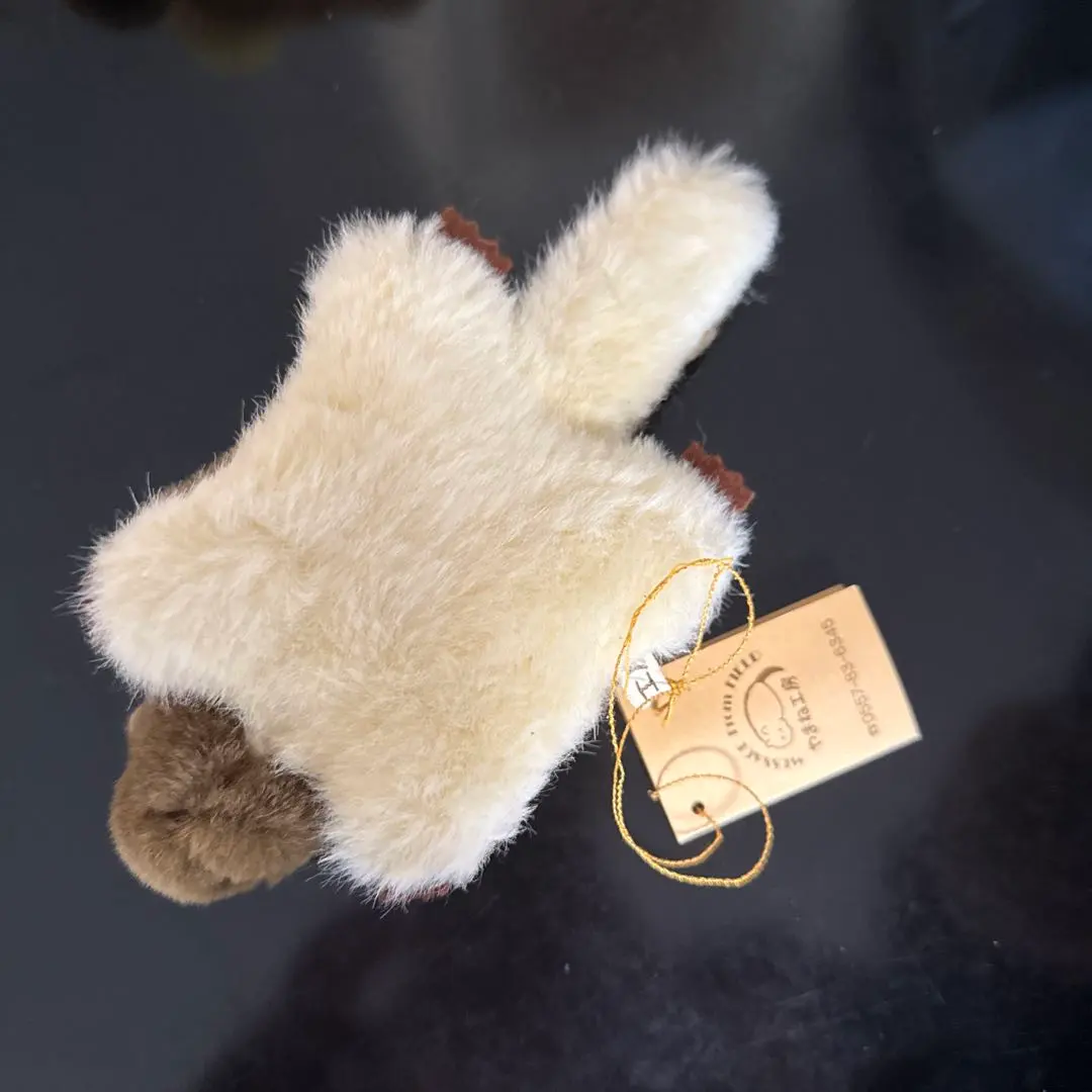 m17757608239_1.jpg?1771298476