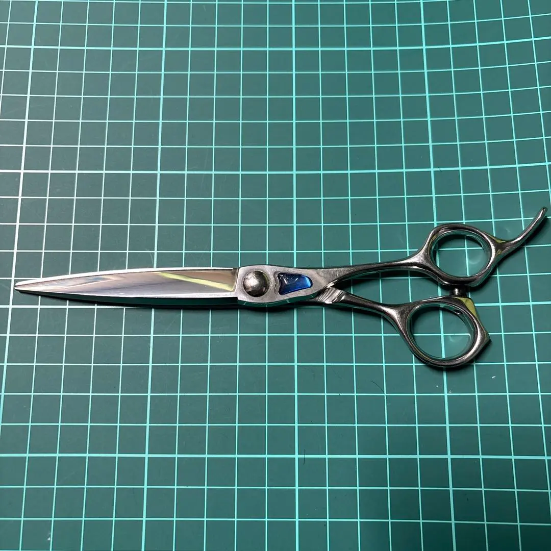 2026年最新】トギノン シャークの人気アイテム - メルカリ