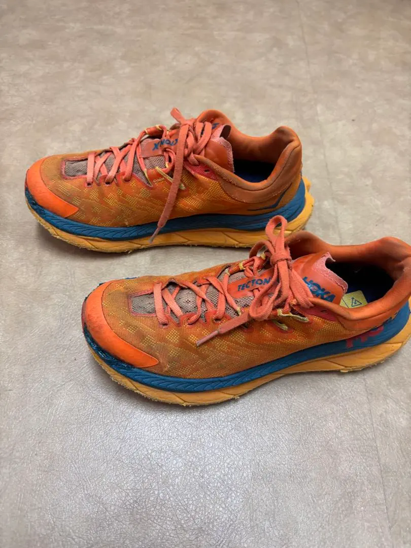 2026年最新】テクトンの人気アイテム - メルカリ