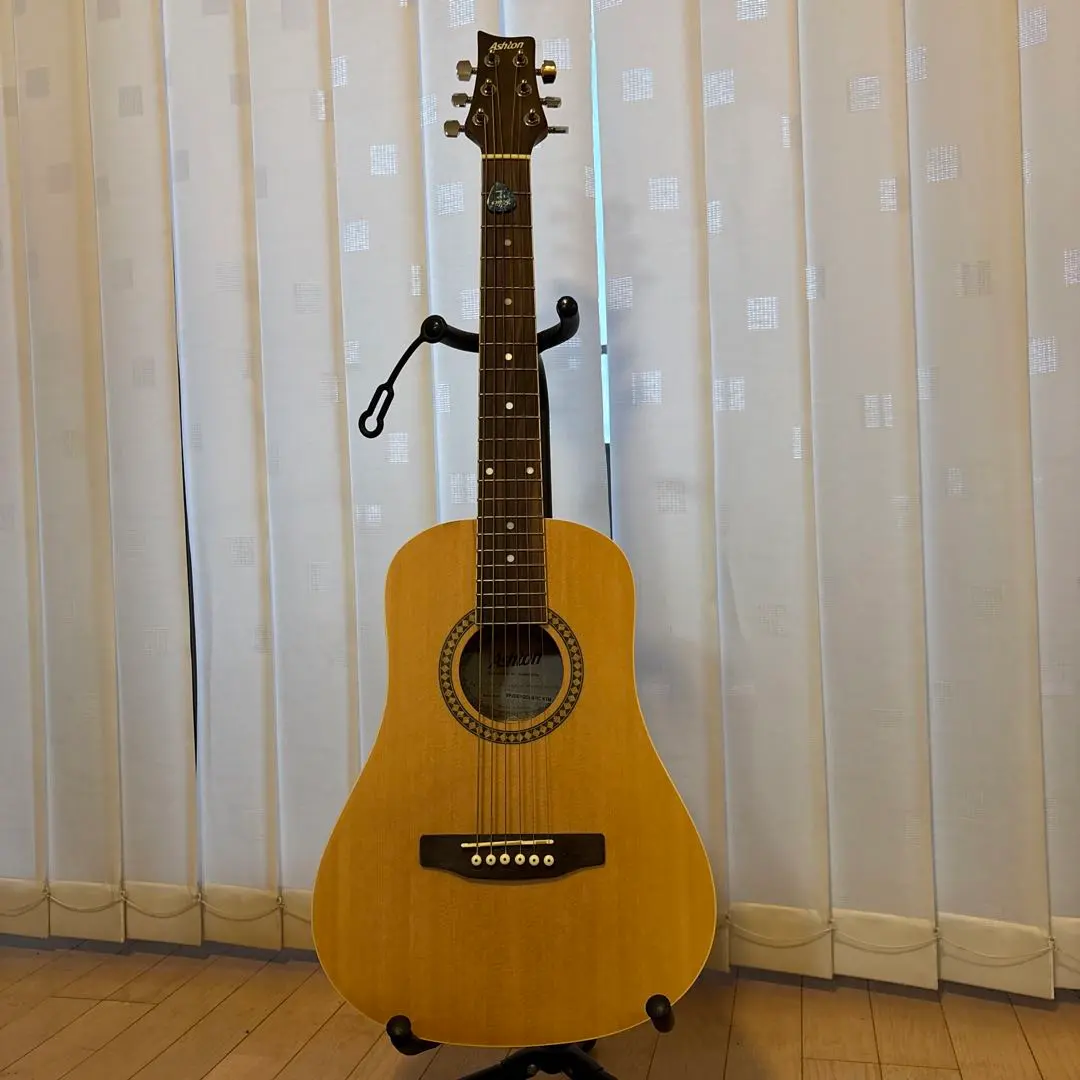 2026年最新】ギター ASHTONの人気アイテム - メルカリ