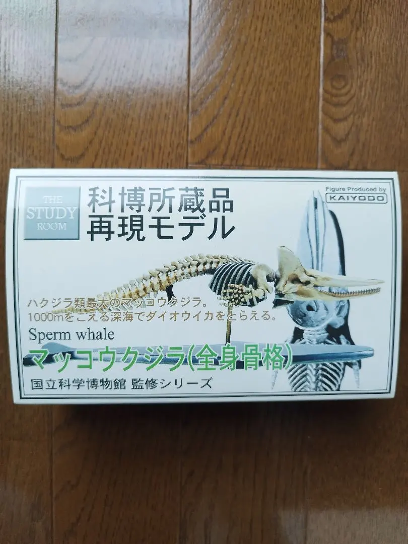 2026年最新】科博所蔵品再現モデルの人気アイテム - メルカリ