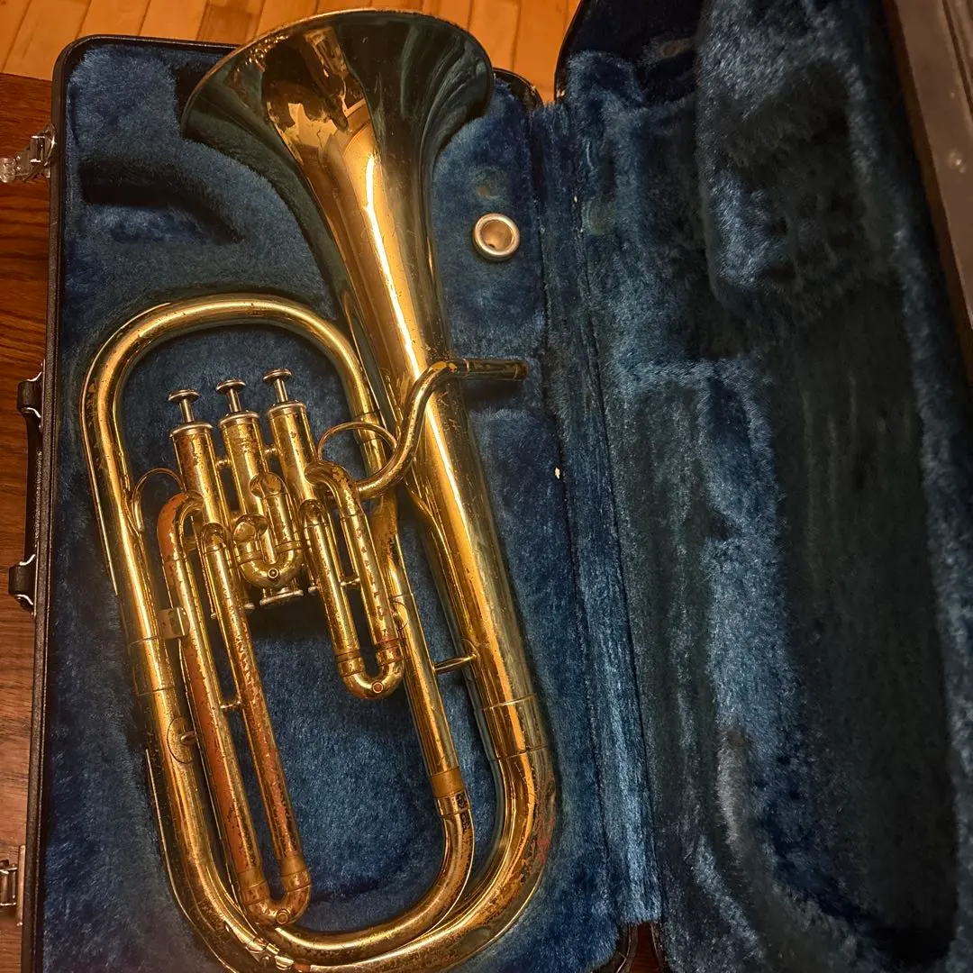 2026年最新】YAH202の人気アイテム - メルカリ