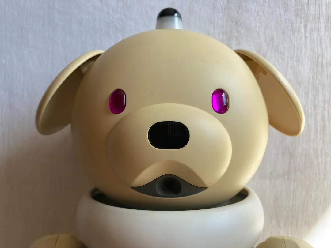 2026年最新】SONY 性別：男女兼用 その他の人気アイテム - メルカリ