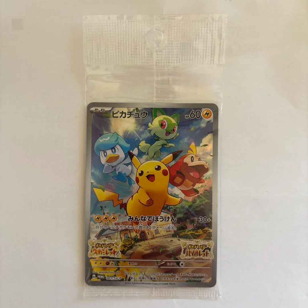 m19810430873_1.jpg?1772588215