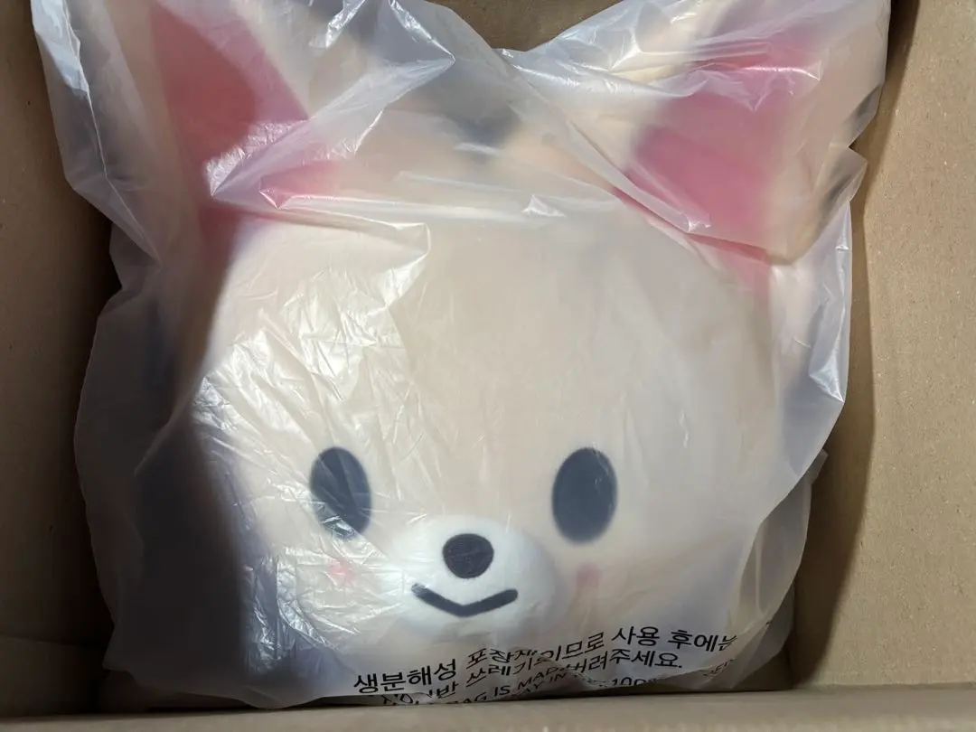 2026年最新】SKzoo クッション アイエンの人気アイテム - メルカリ