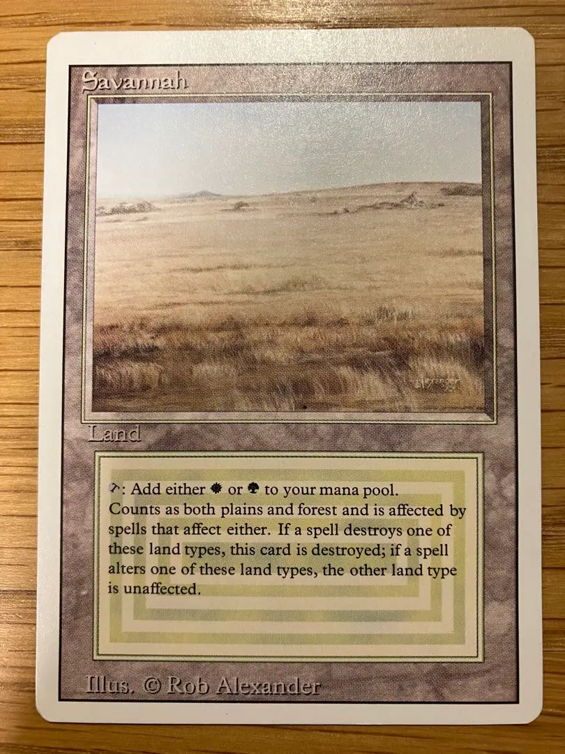2026年最新】サバンナ mtgの人気アイテム - メルカリ
