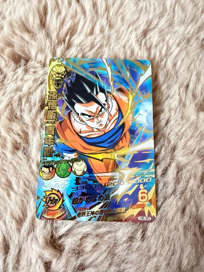 m19202474326_1.jpg?1772435031