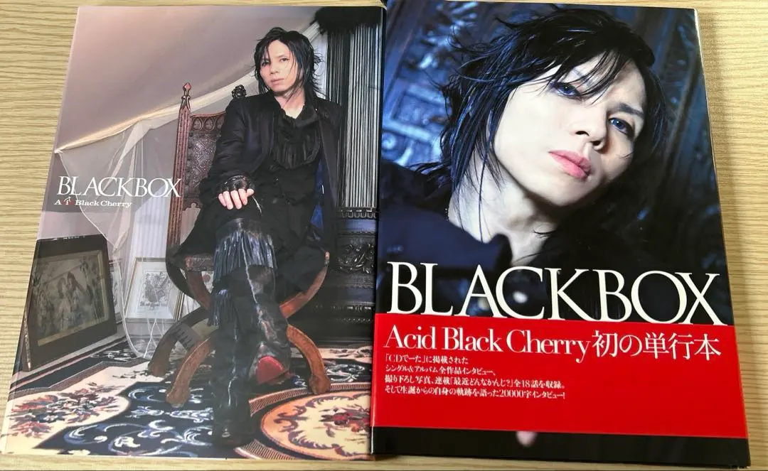 2026年最新】Acid Black Cherry写真集の人気アイテム - メルカリ