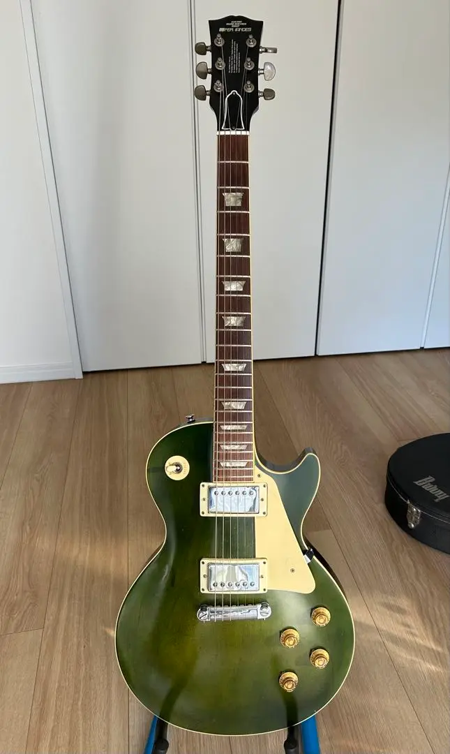 2026年最新】FERNANDES カラー：グリーン系 エレキギターの人気