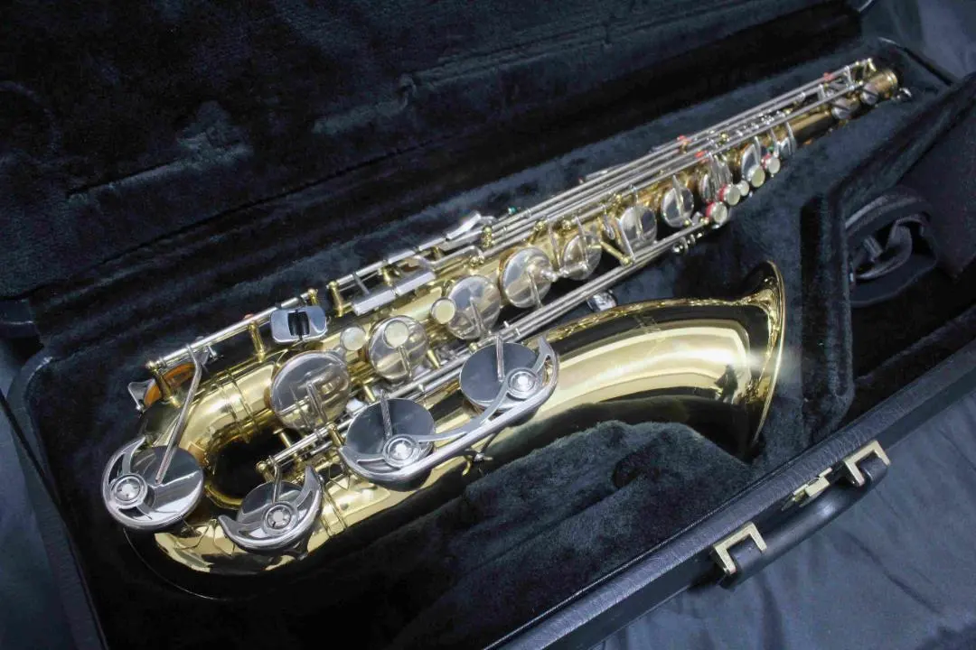 2026年最新】kawai テナーサックスの人気アイテム - メルカリ