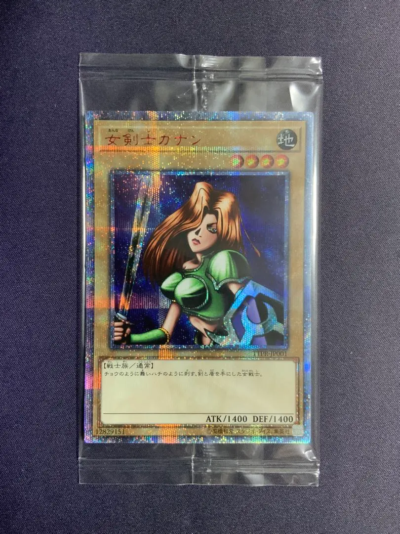2026年最新】女剣士カナン 20th 未開封の人気アイテム - メルカリ