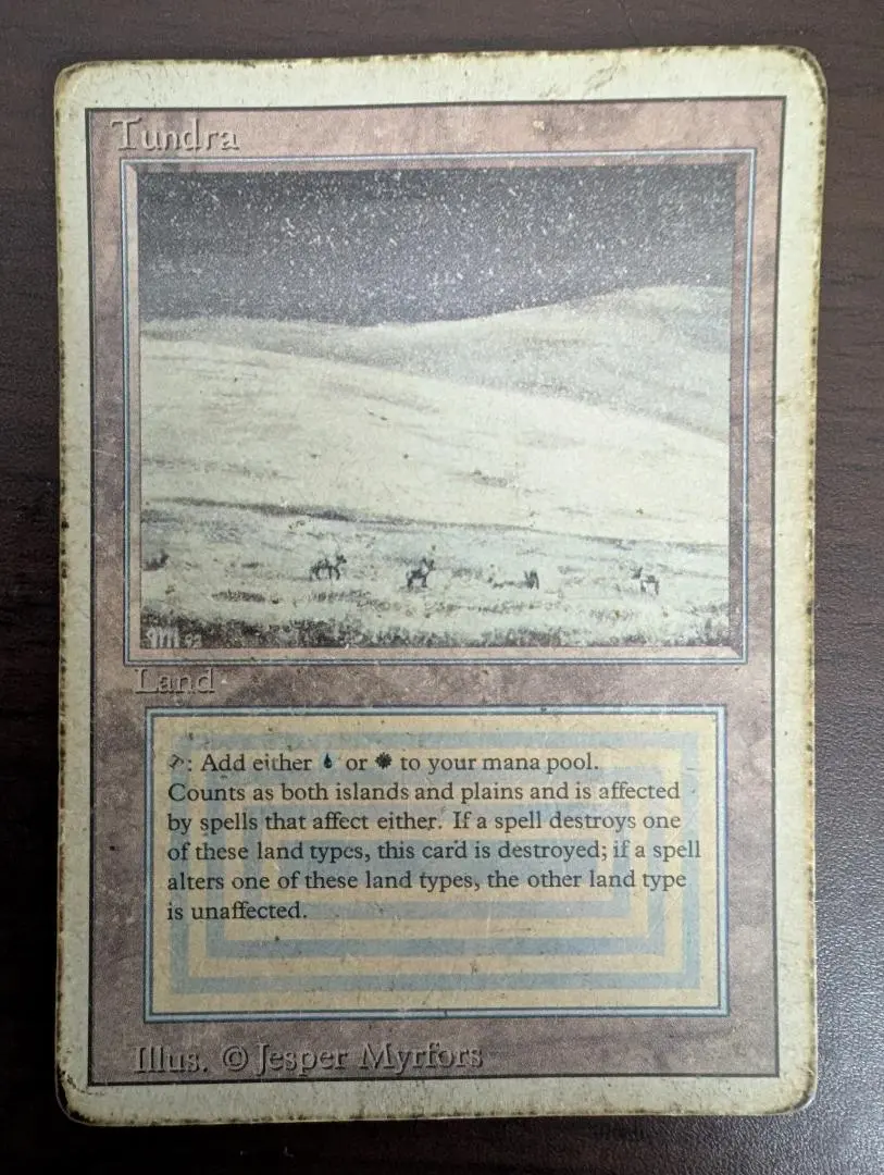 2026年最新】tundra mtgの人気アイテム - メルカリ