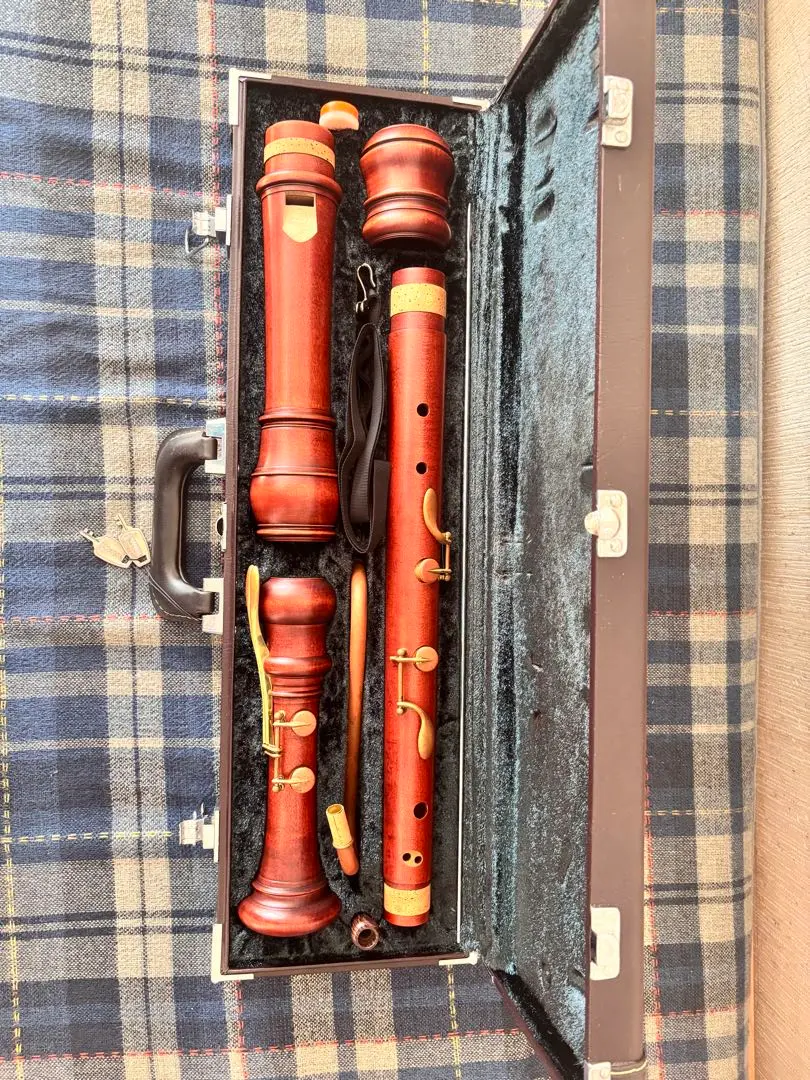 2026年最新】バスリコーダー 中古の人気アイテム - メルカリ