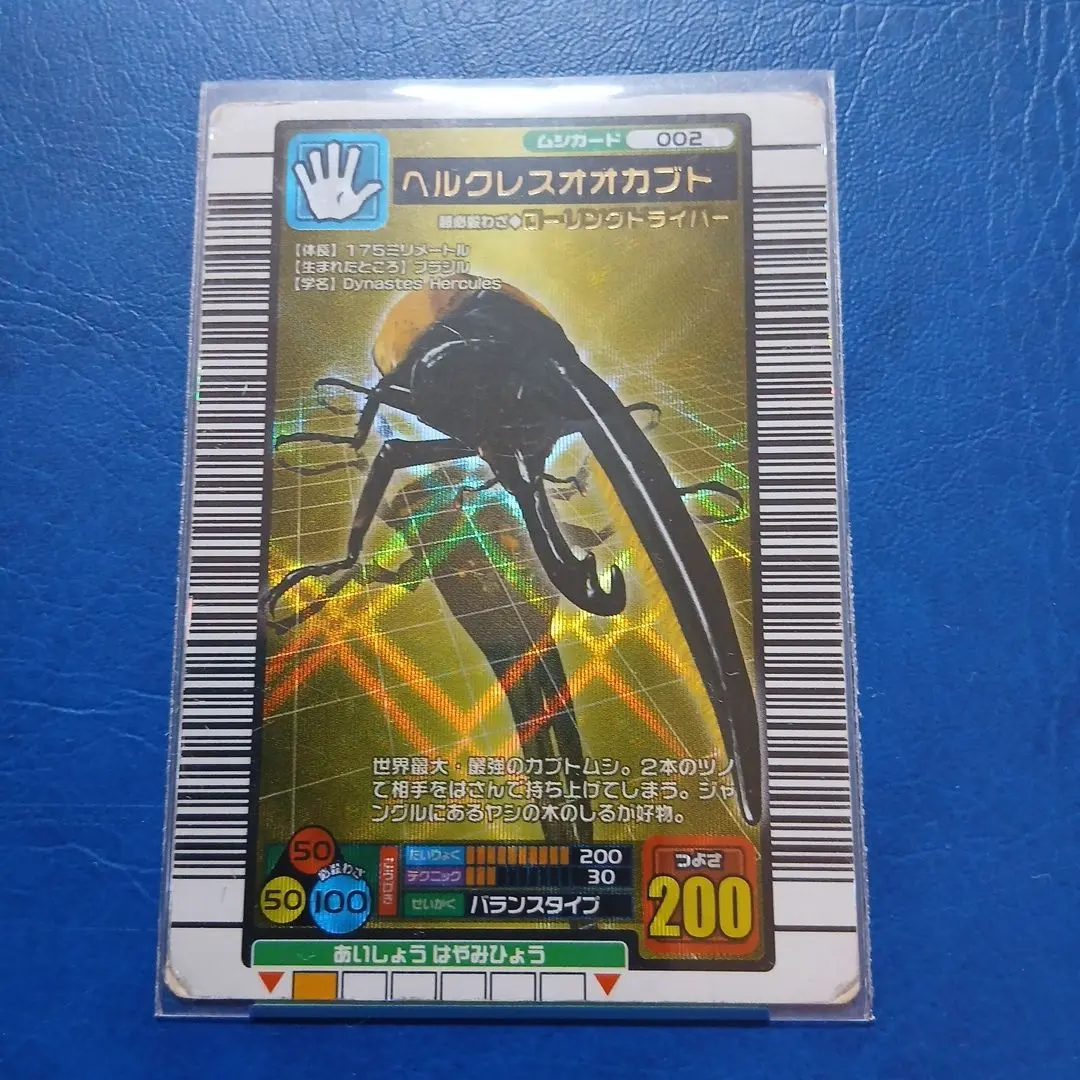 m21987368582_1.jpg?1769234357