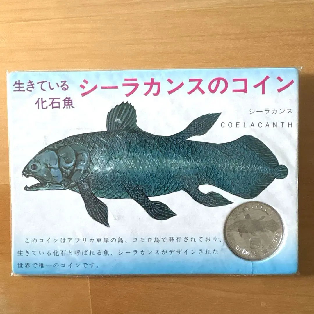 2026年最新】シーラカンス 化石魚の人気アイテム - メルカリ