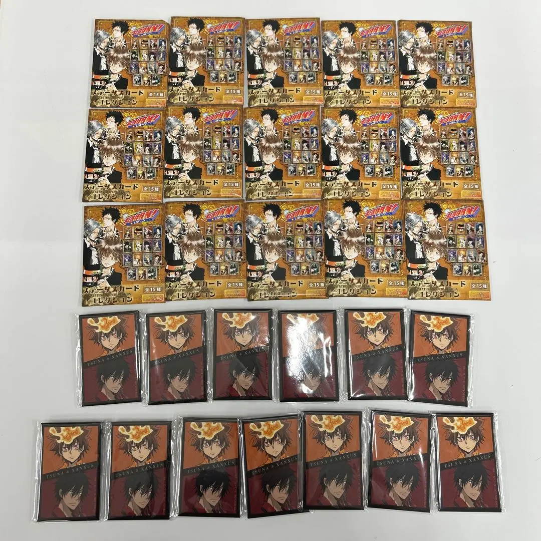 2026年最新】家庭教師ヒットマンreborn ステータスカードの人気