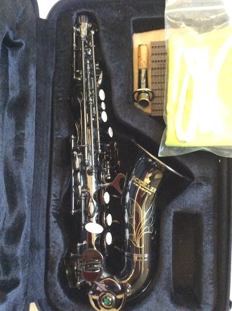2026年最新】カーブドソプラノサックスの人気アイテム - メルカリ