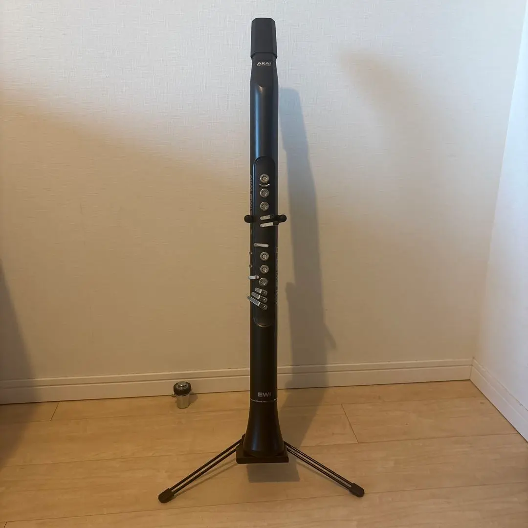 2026年最新】akai ewi soloの人気アイテム - メルカリ