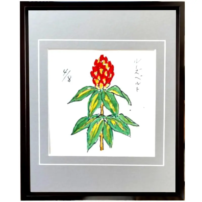 2026年最新】坂本直行画の人気アイテム - メルカリ