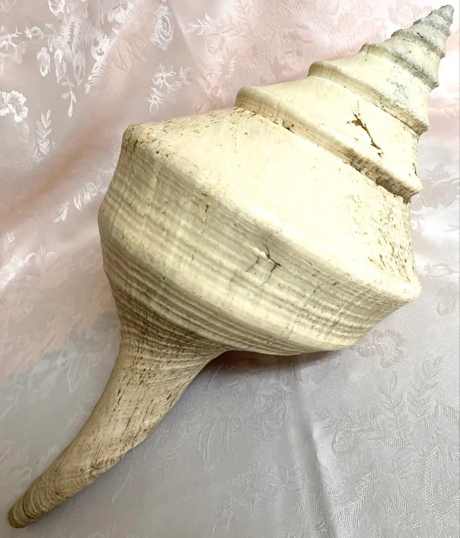 2026年最新】アラフラオオニシの人気アイテム - メルカリ