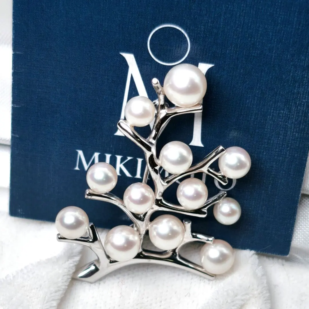 2026年最新】幸福の木 ミキモトの人気アイテム - メルカリ