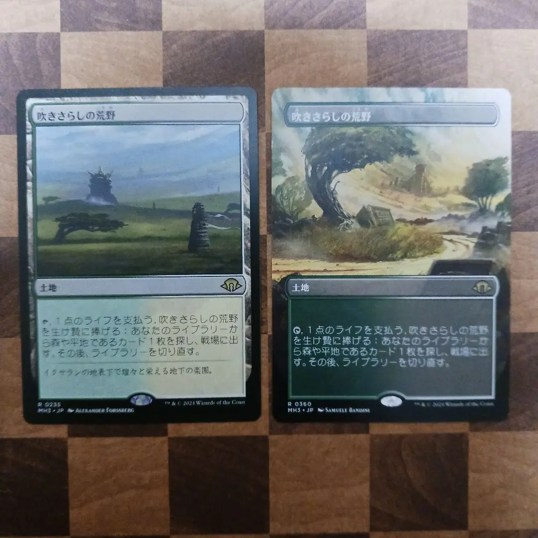 2026年最新】MTG 吹きさらしの荒野の人気アイテム - メルカリ