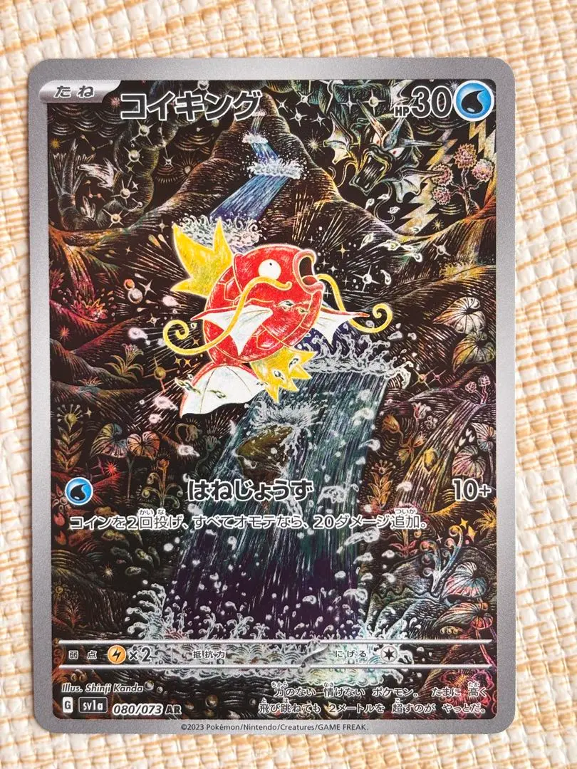 m23574003389_1.jpg?1768523291