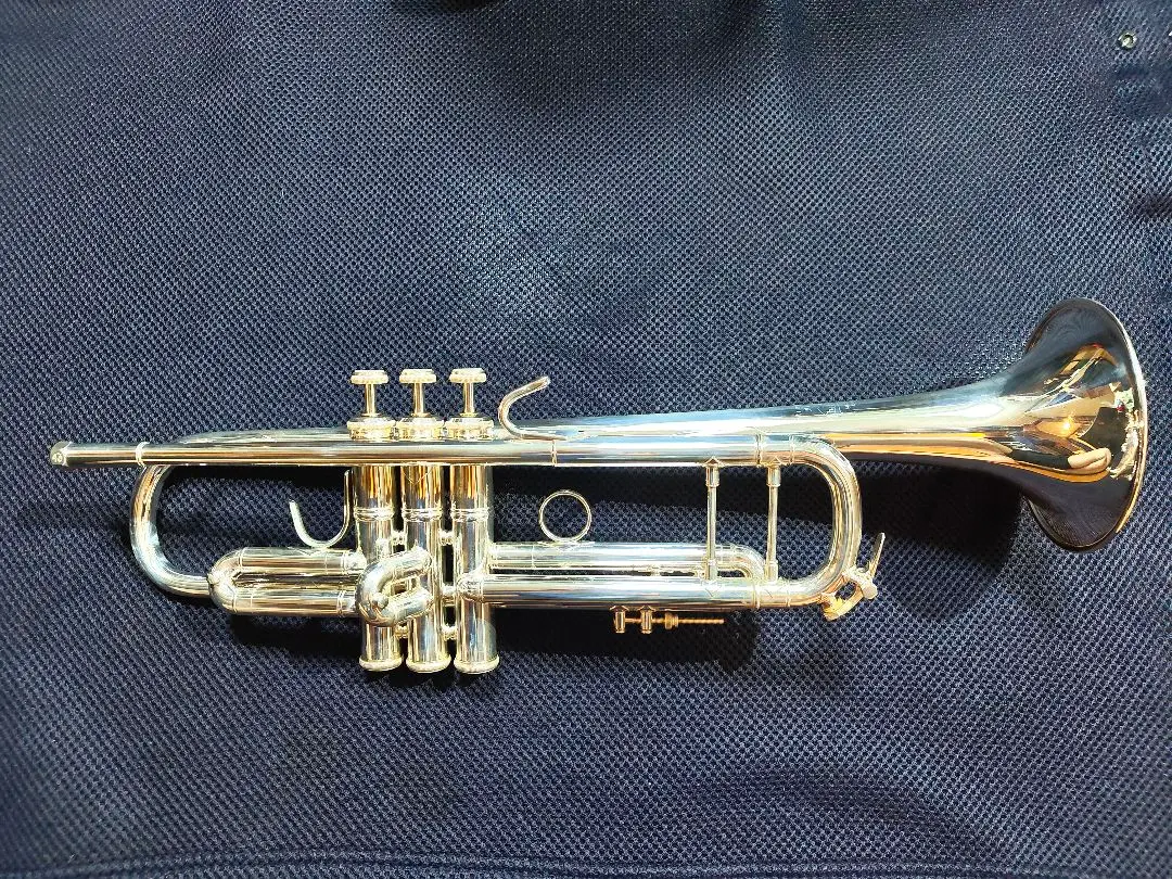 2026年最新】BACH 180MLの人気アイテム - メルカリ