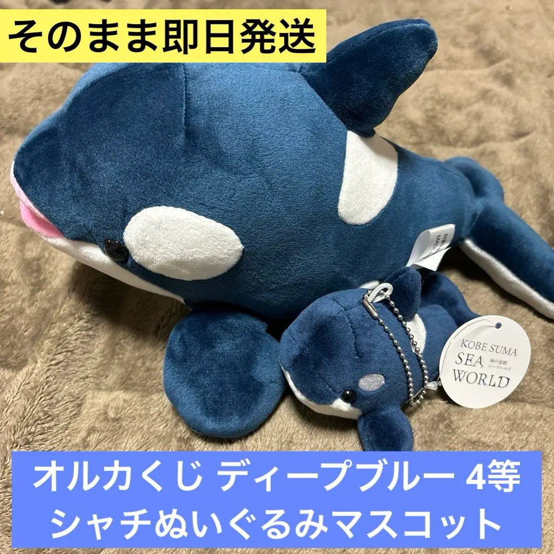 2026年最新】須磨シーワールド シャチ 2等の人気アイテム - メルカリ