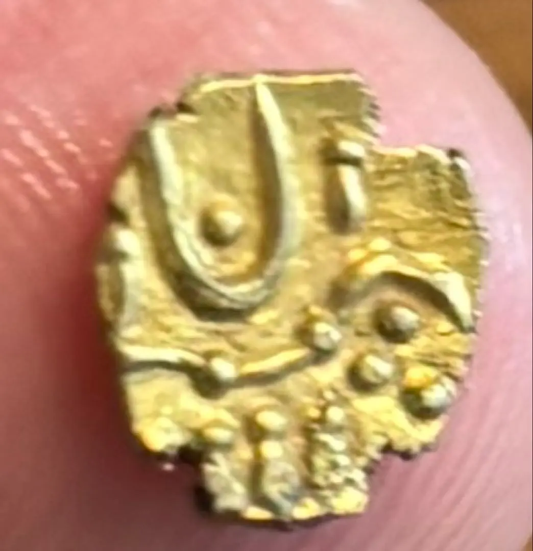 2026年最新】ファナム金貨の人気アイテム - メルカリ