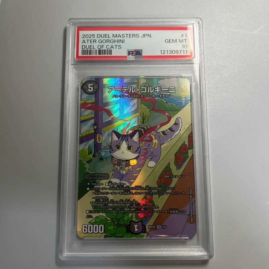 m24508935237_1.jpg?1771483703