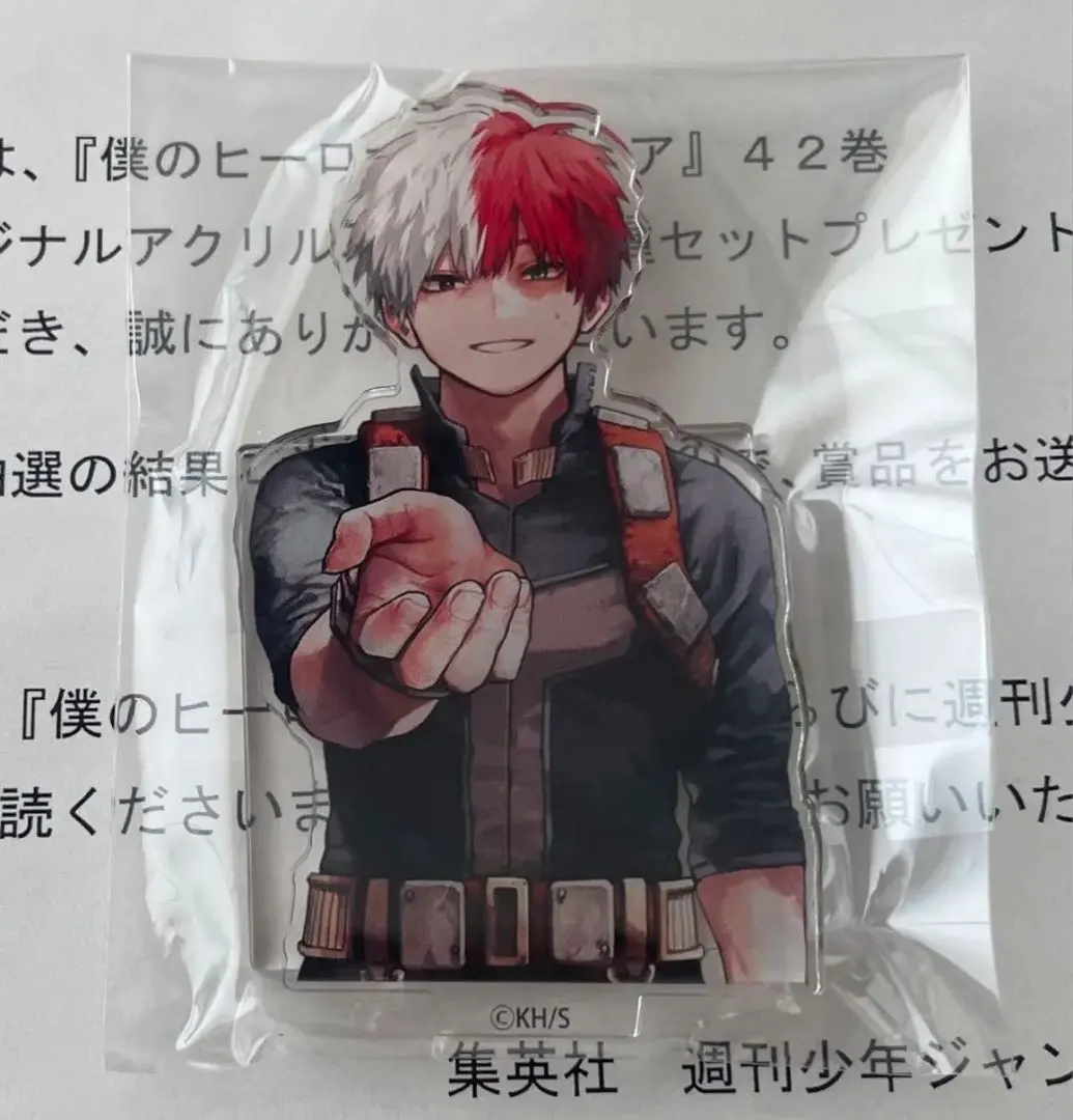 2026年最新】ゼブラック ヒロアカの人気アイテム - メルカリ