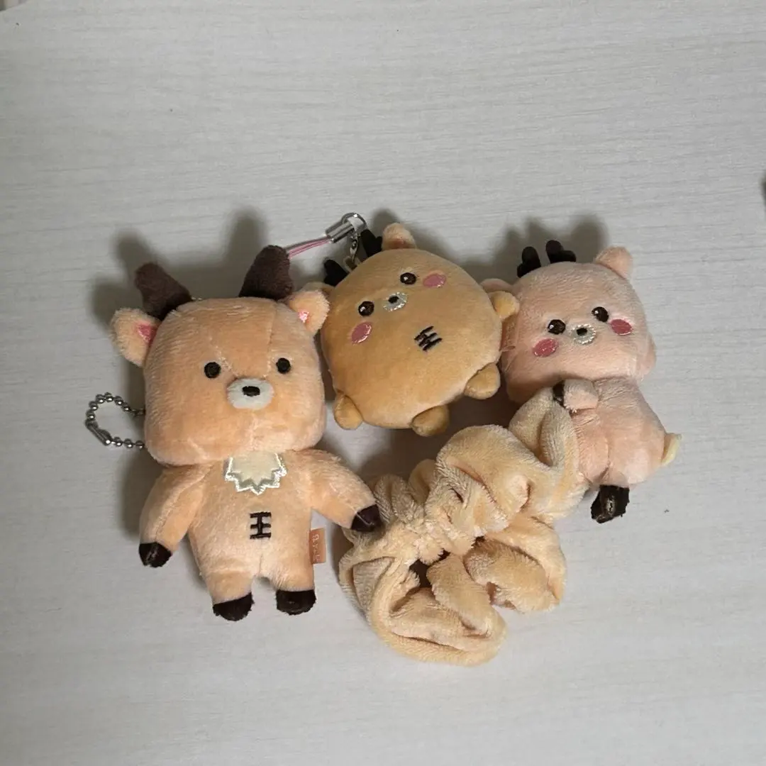 2026年最新】riize ソンチャン シュシュの人気アイテム - メルカリ